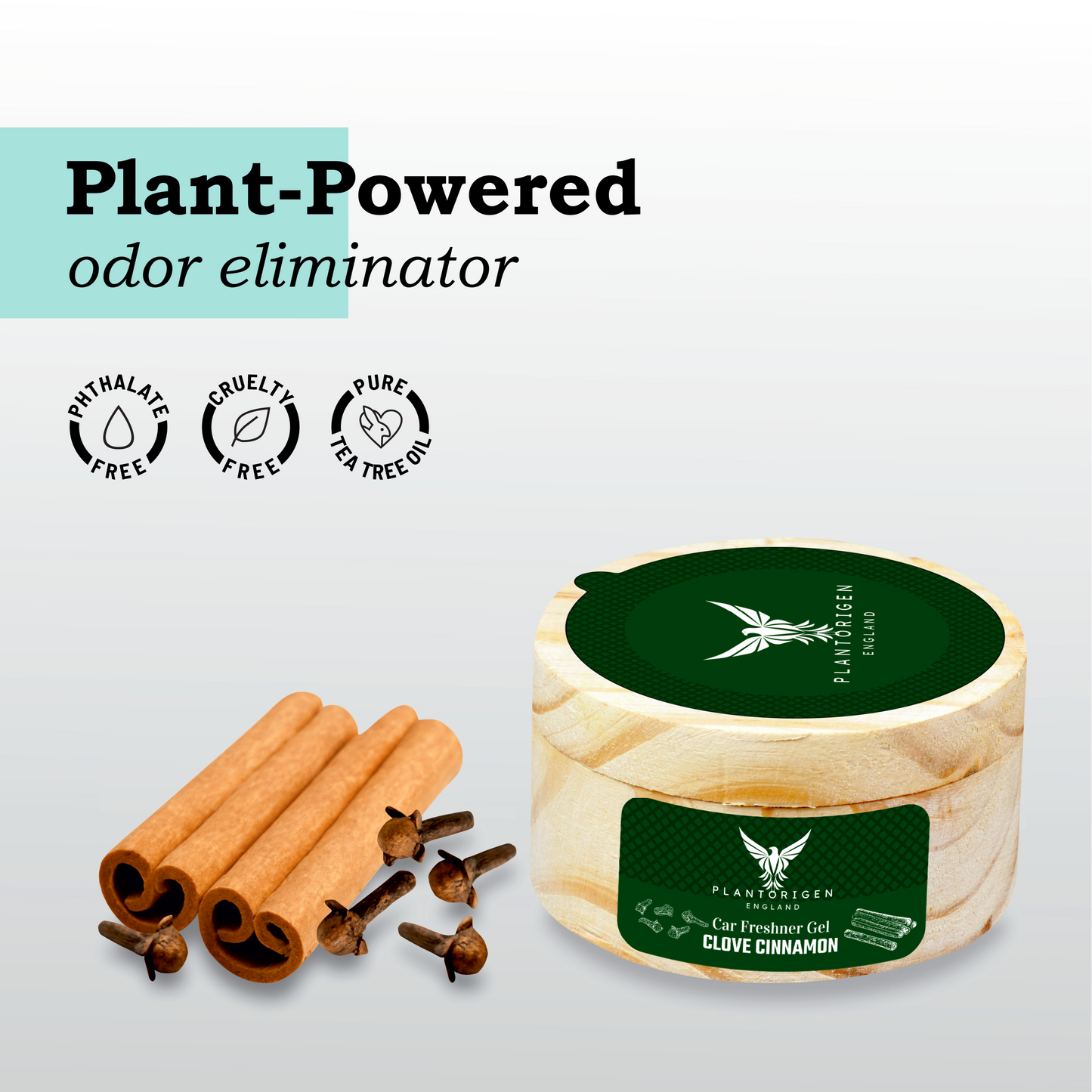 PlantOrigen Plant Based Non Electric Non Toxic Aromatherapy Essential Oils Car Air Gel Fresheners Clove Cinnamon