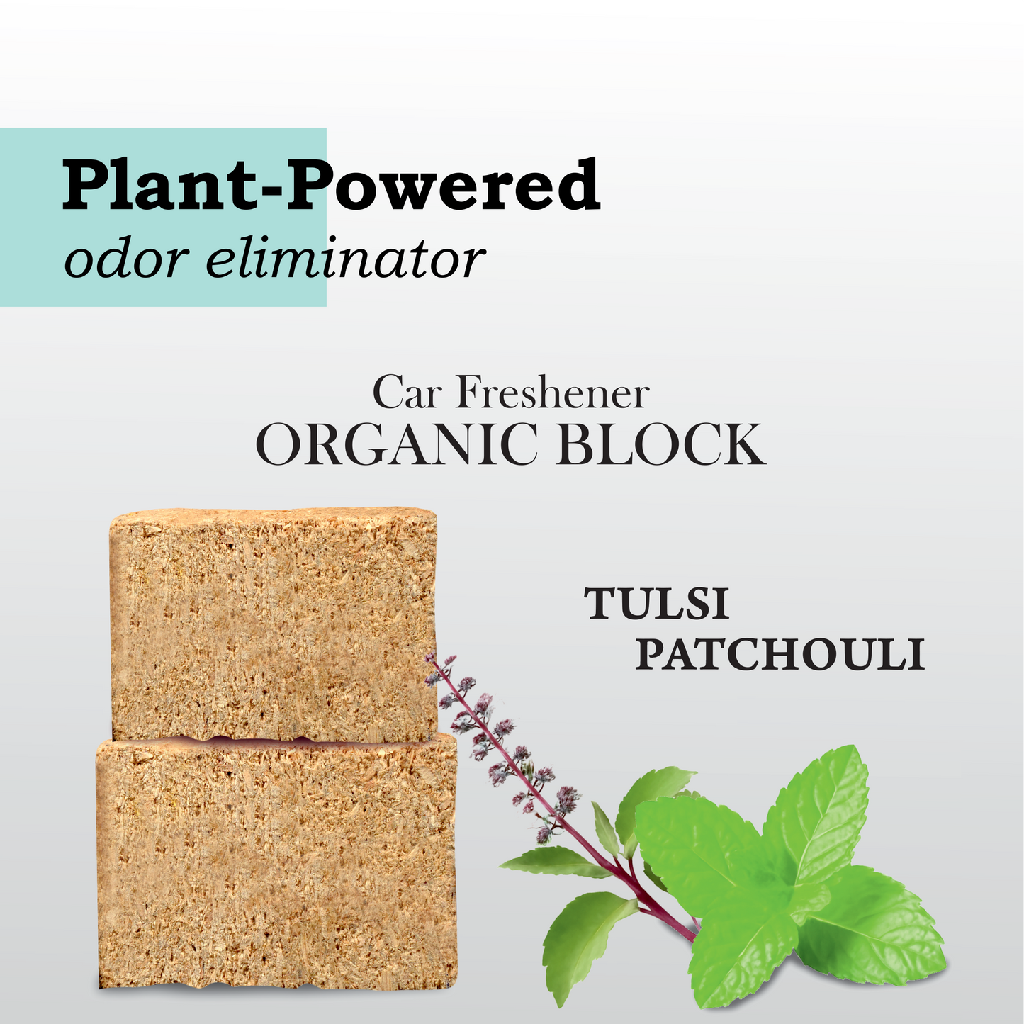 PlantOrigen Plant Based Non Electric Non Toxic Aromatherapy Essential Oils Car Air Organic Block Fresheners Tulsi Patchouli