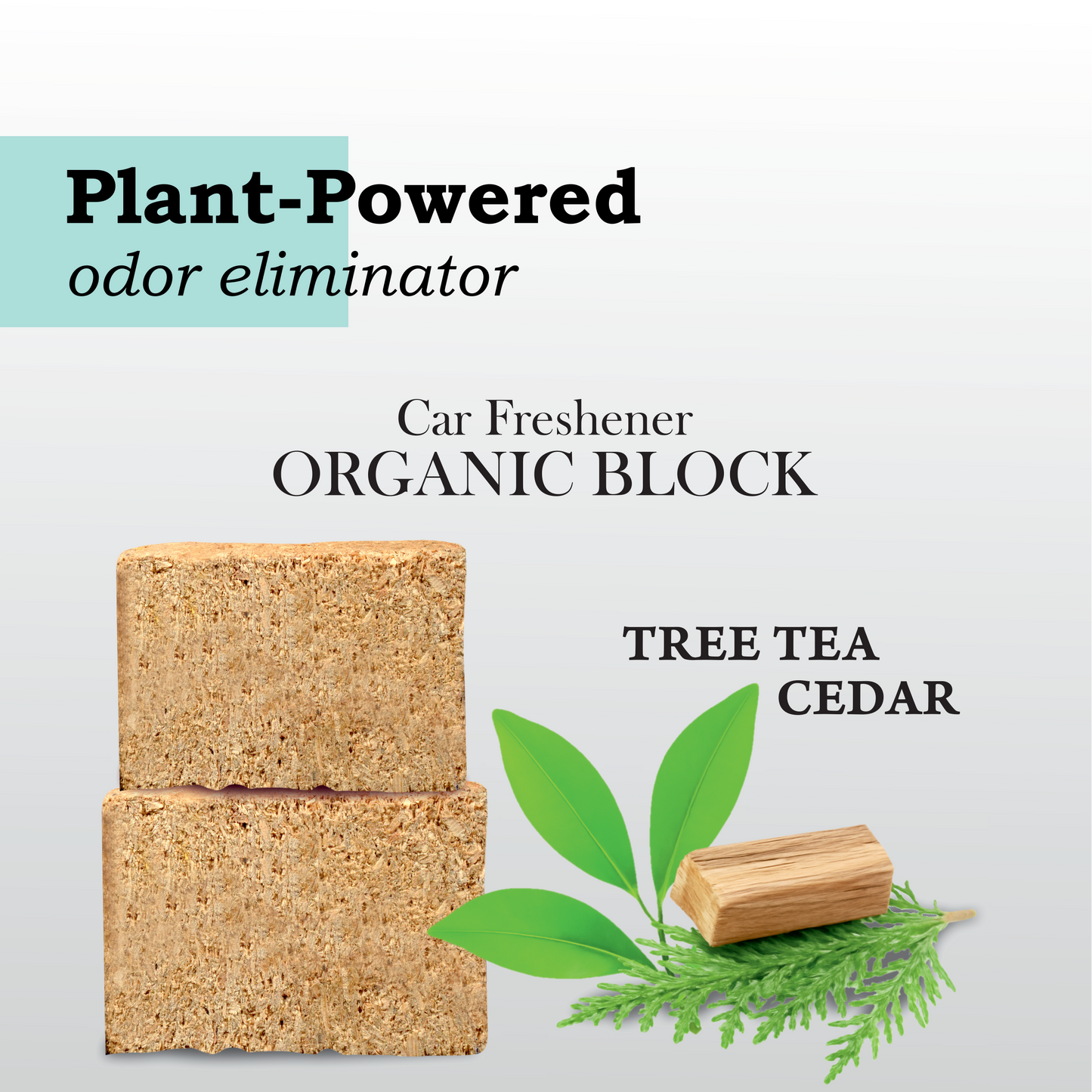 PlantOrigen Plant Based Non Electric Non Toxic Aromatherapy Essential Oils Car Air Spray Fresheners Tree Tea Cedar