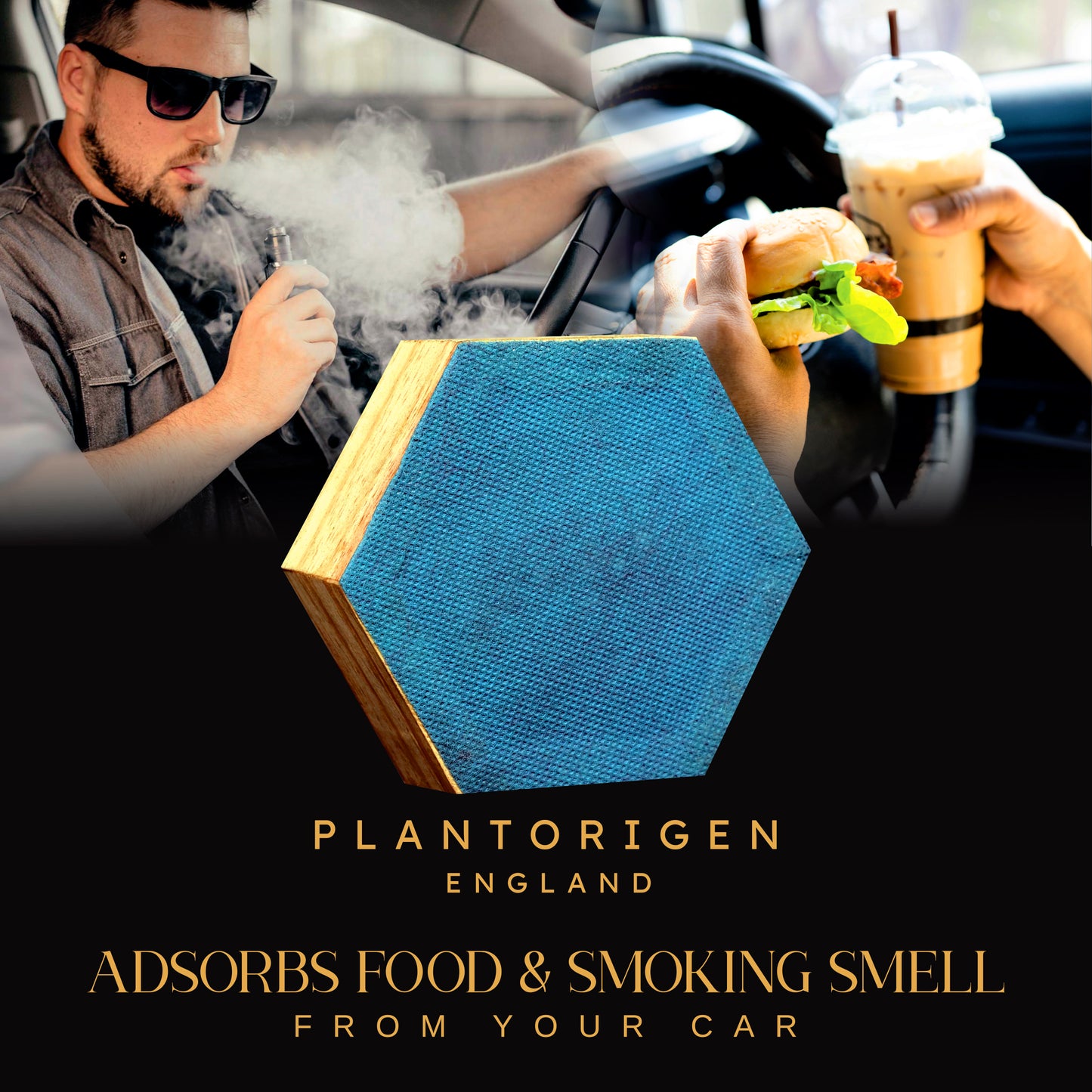 Plant Origen Plant Based Non Electric Non Toxic Aerospace Grade Hybrid SYS Car Air Purifiers