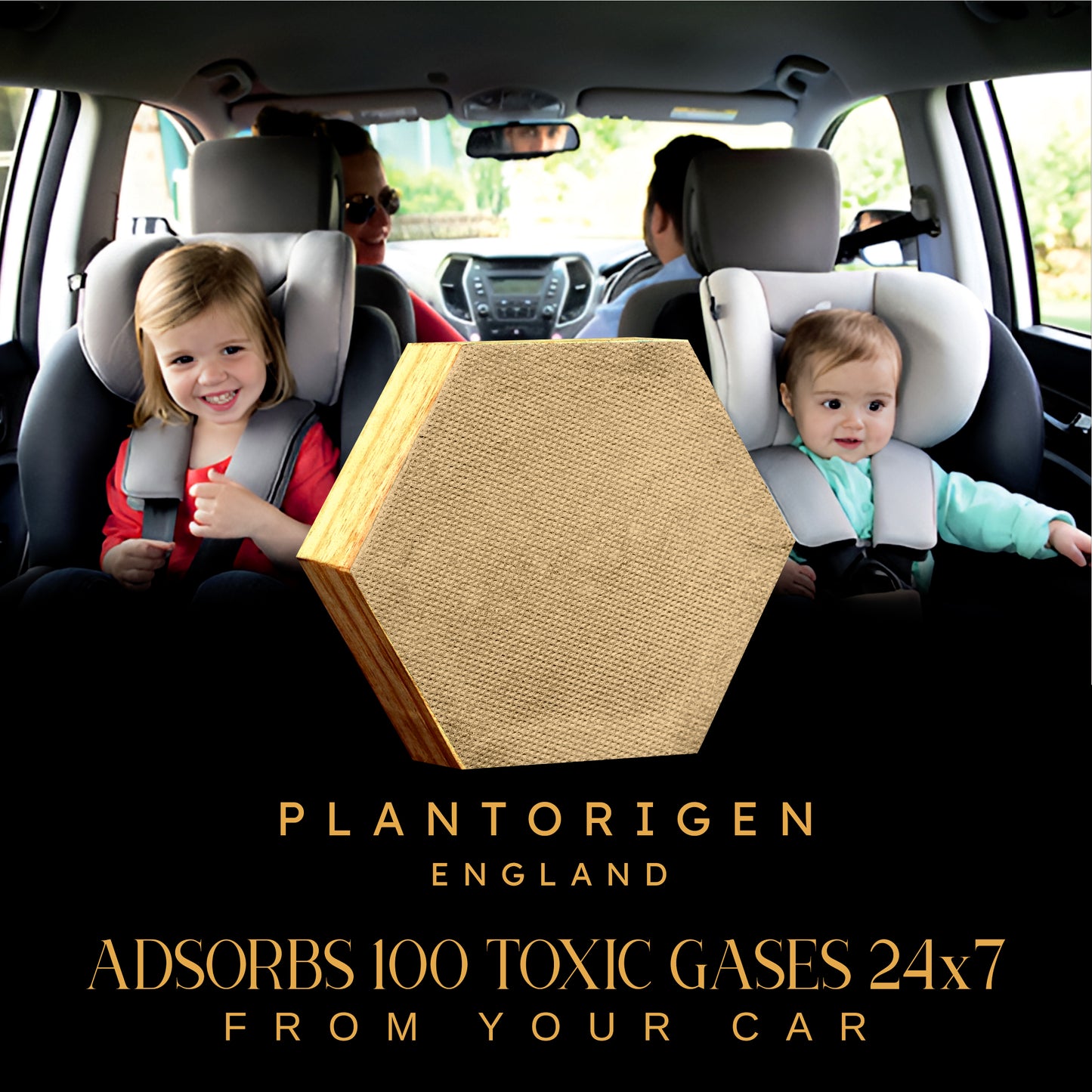 Plant Origen Plant Based Non Electric Non Toxic Aerospace Grade Hybrid SYS Car Air Purifiers