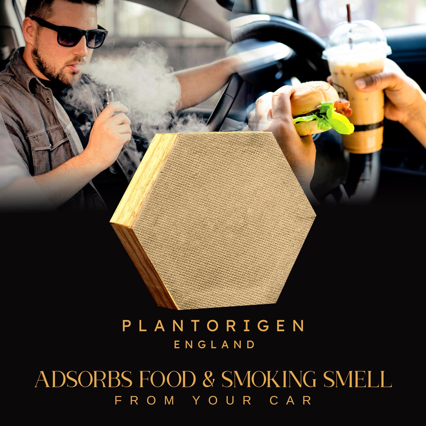 Plant Origen Plant Based Non Electric Non Toxic Aerospace Grade Hybrid SYS Car Air Purifiers
