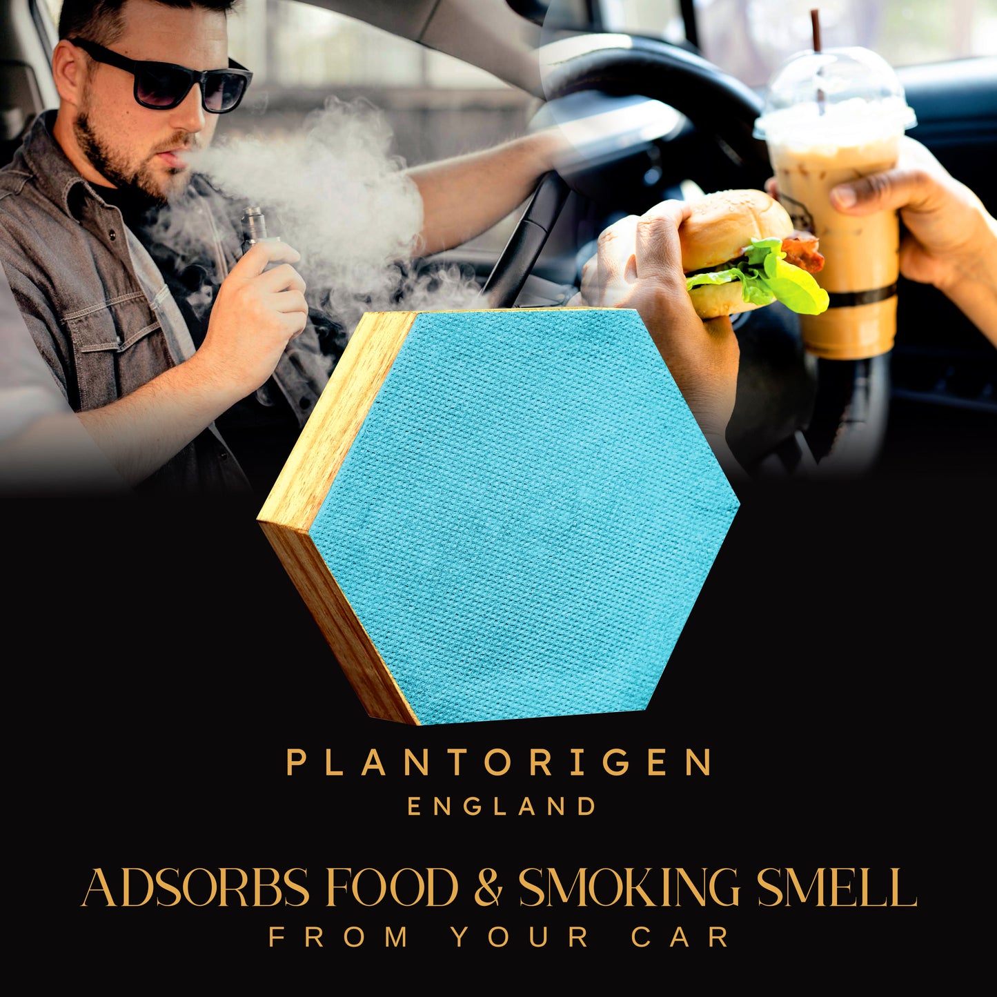 Plant Origen Plant Based Non Electric Non Toxic Aerospace Grade Hybrid SYS Car Air Purifiers