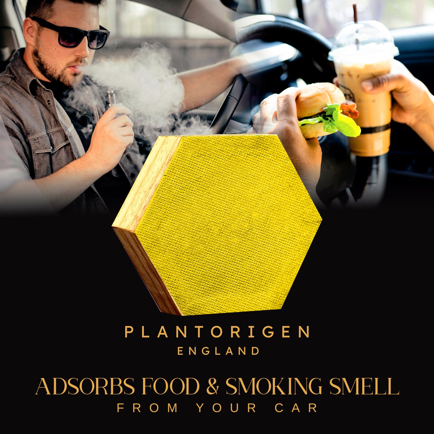 Plant Origen Plant Based Non Electric Non Toxic Aerospace Grade Hybrid SYS Car Air Purifiers