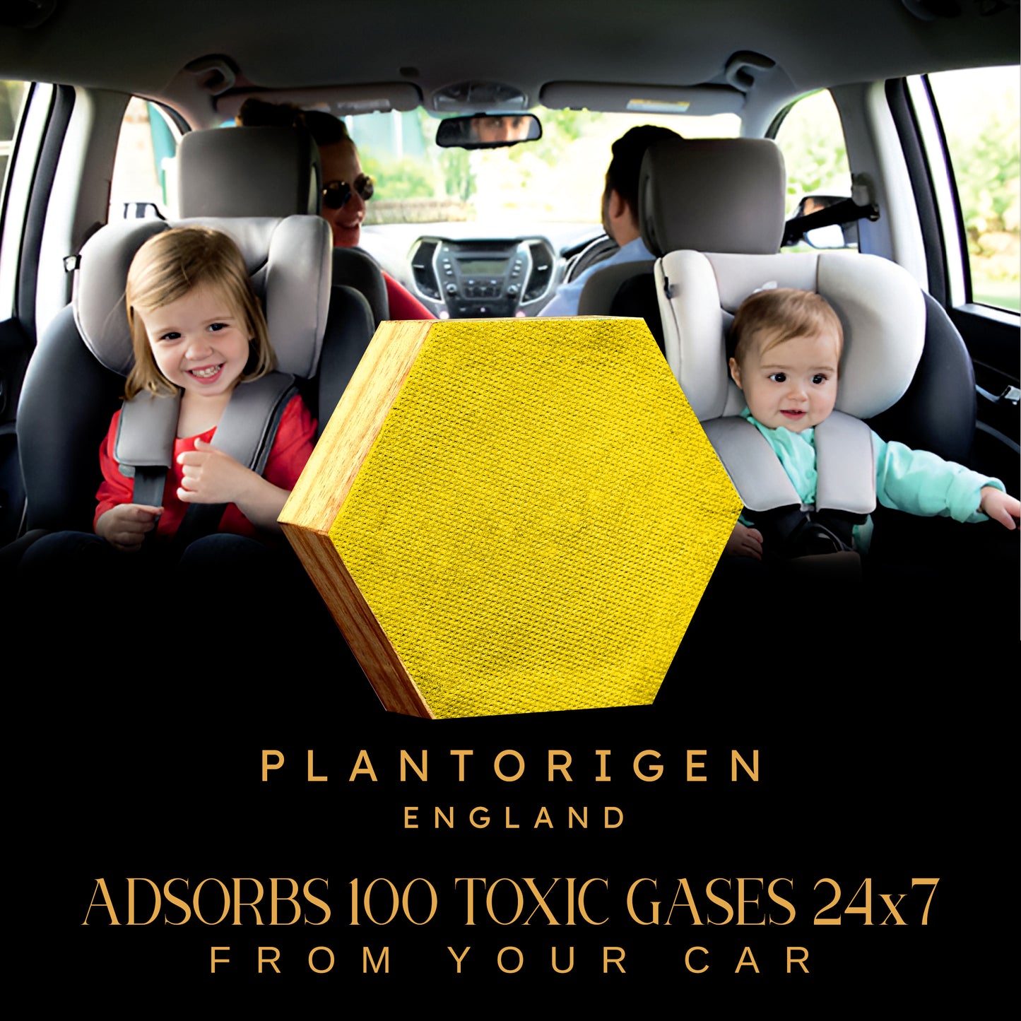 Plant Origen Plant Based Non Electric Non Toxic Aerospace Grade Hybrid SYS Car Air Purifiers