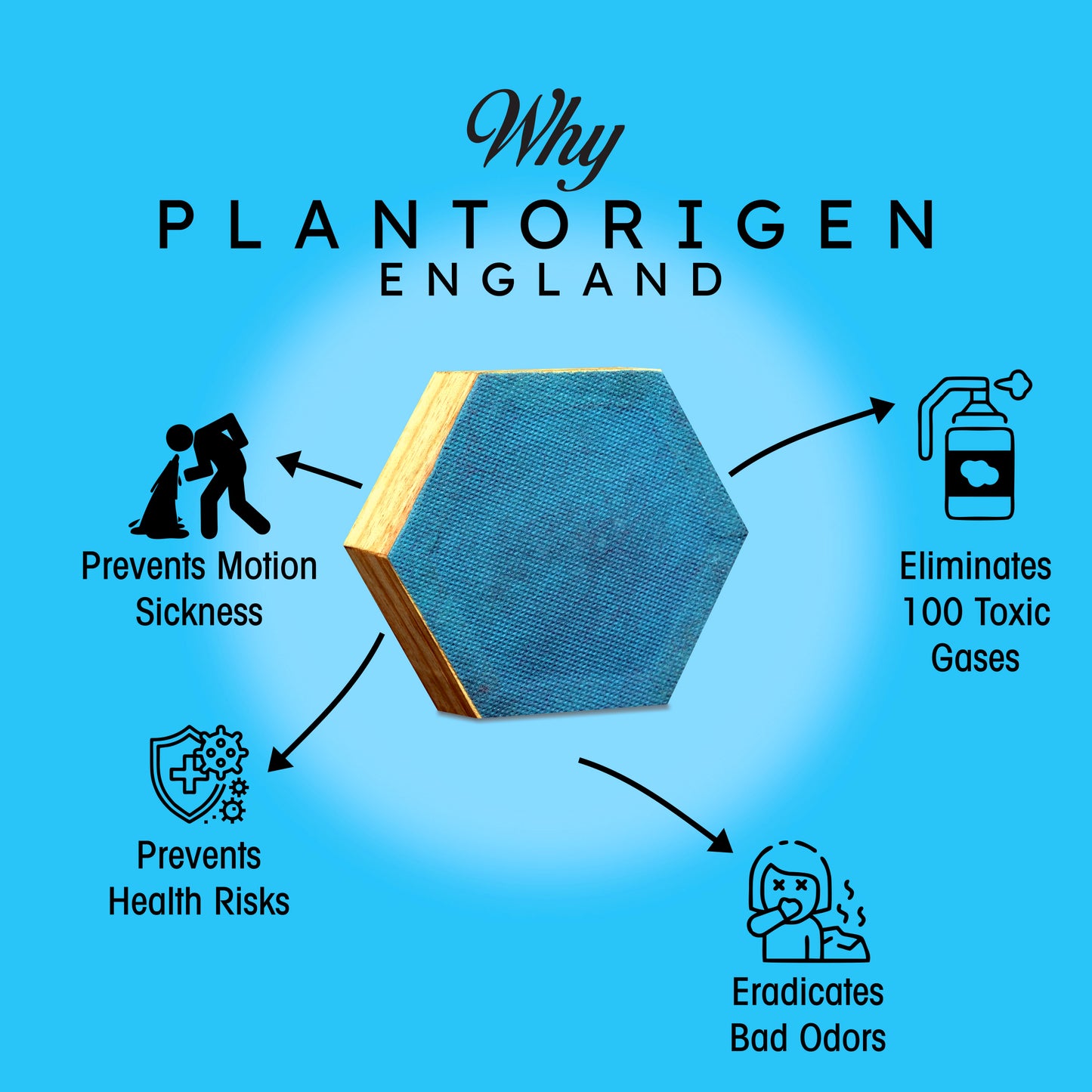 Plant Origen Plant Based Non Electric Non Toxic Aerospace Grade Hybrid SYS Car Air Purifiers