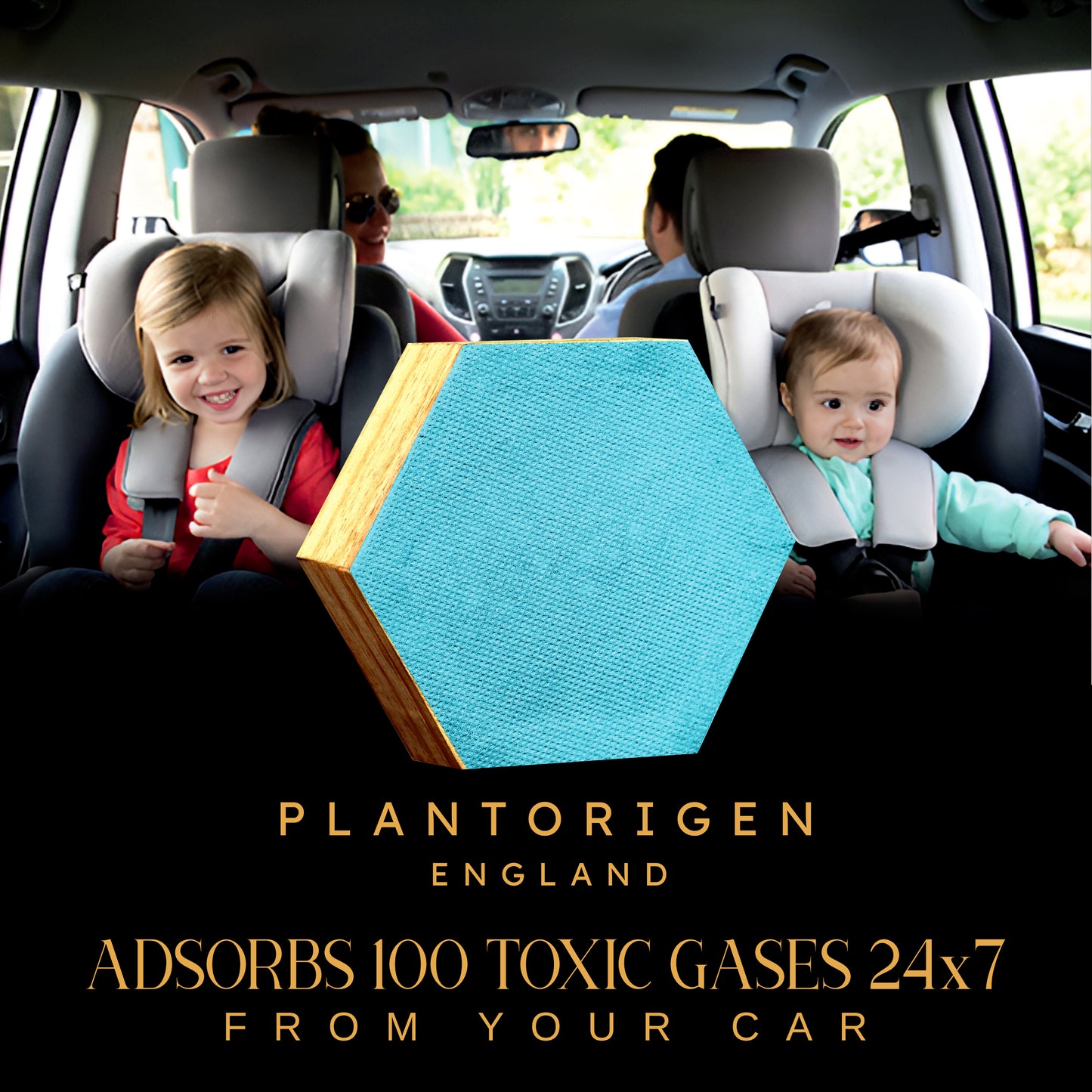 Plant Origen Plant Based Non Electric Non Toxic Aerospace Grade Hybrid SYS Car Air Purifiers