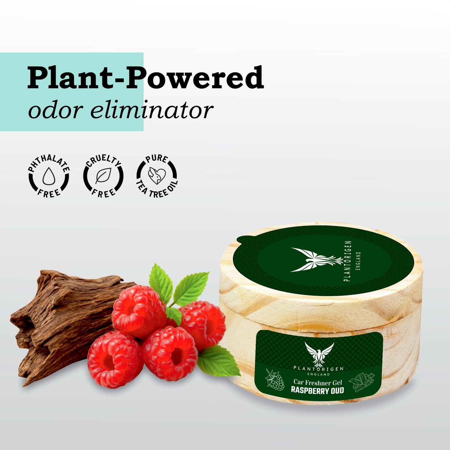 Plant Based Car Air Freshener Wooden Container Natural Gel