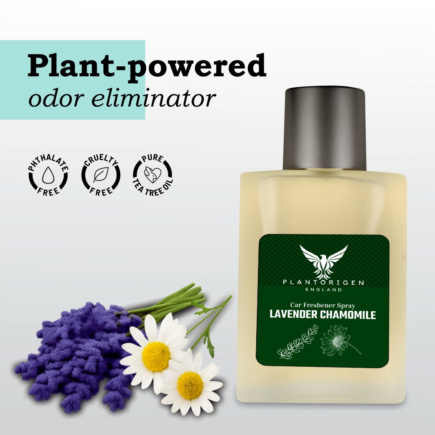 Plant Based Car Air Freshener Spray With Hanging Dome