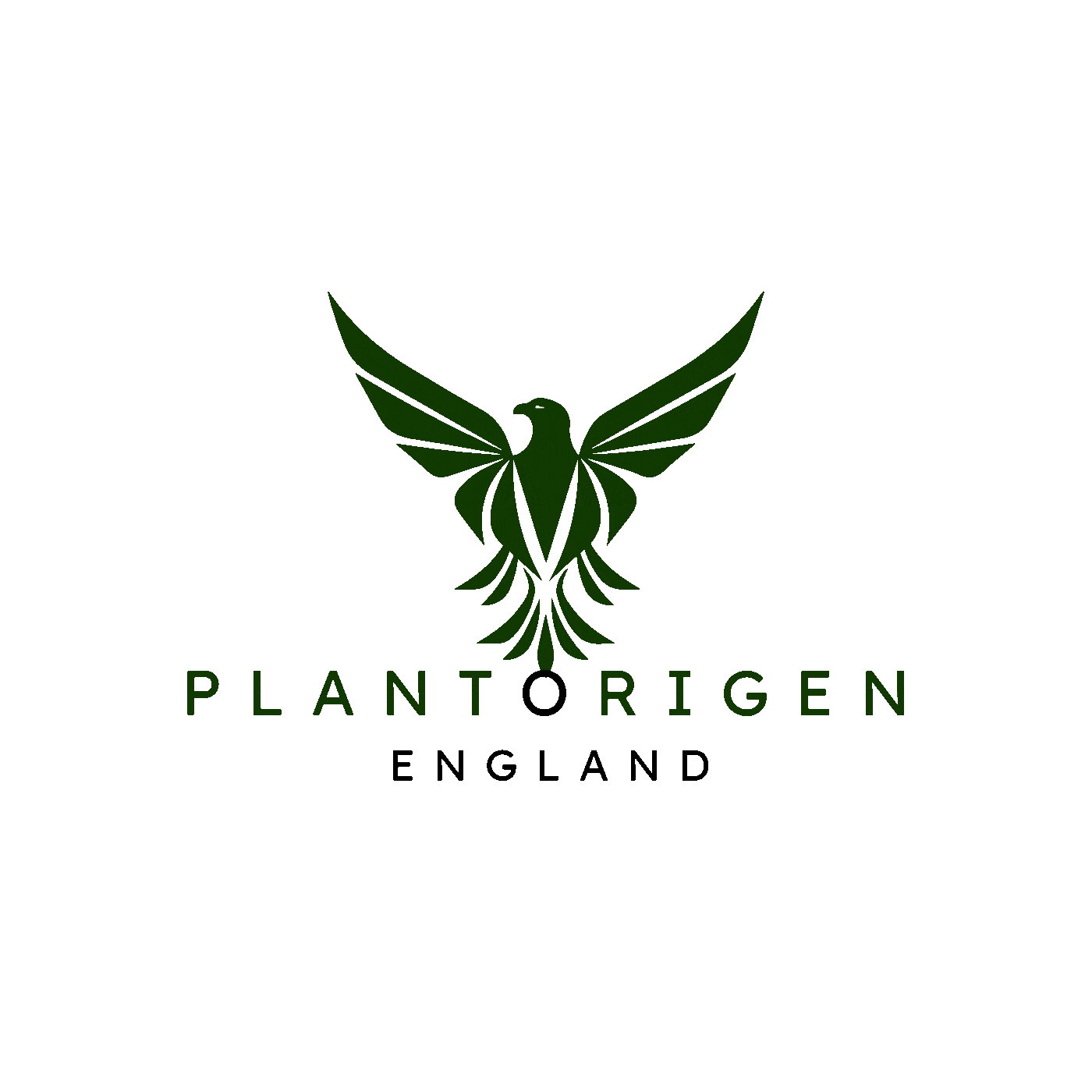 Plant Origen's Best Collections