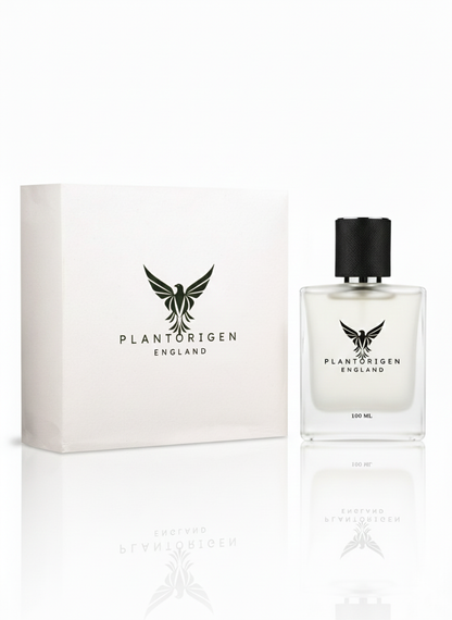 Plant Based Car Air Freshener Hanging Dome With Natural Spray | Non Toxic | Cinnamon Vanilla