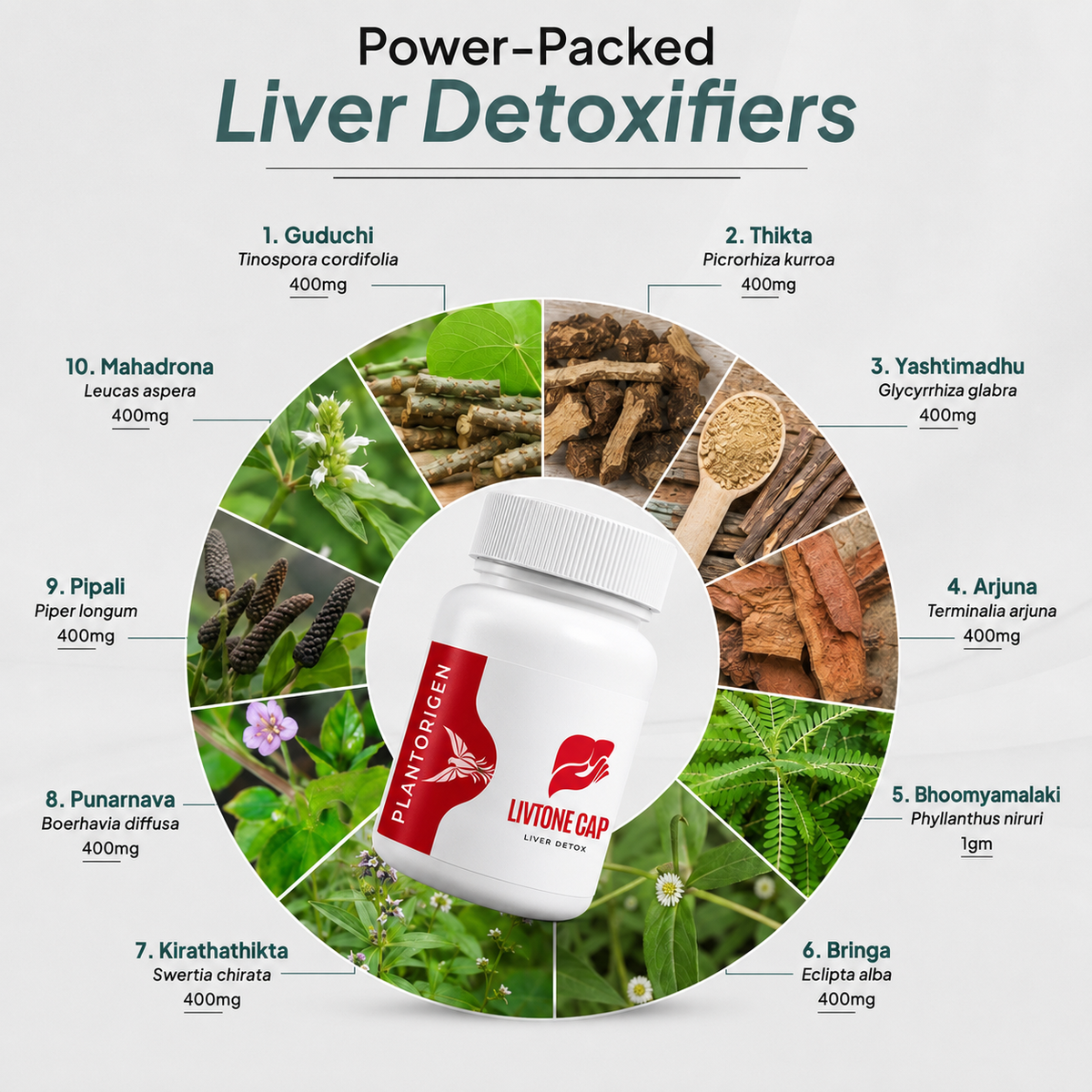 100% natural ayurvedic liver detox plantorigen tablets ingredient list