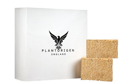 PlantOrigen Plant Based Non Electric Non Toxic Aromatherapy Essential Oils Car Air Organic Block Fresheners
