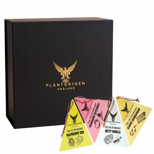 Plant Based Car Air Freshener Hanging Natural Wood Granules Wallet | Non Toxic | Combo Wallet Triangle (4pcs)