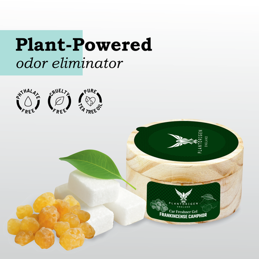 PlantOrigen Plant Based Non Electric Non Toxic Aromatherapy Essential Oils Car Air Gel Fresheners Frankincense Camphor