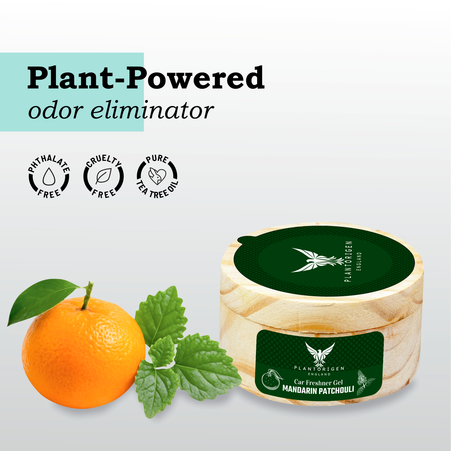 PlantOrigen Plant Based Non Electric Non Toxic Aromatherapy Essential Oils Car Air Gel Fresheners Mandarin Patchouli