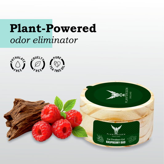 PlantOrigen Plant Based Non Electric Non Toxic Aromatherapy Essential Oils Car Air Gel Fresheners Raspberry Oud