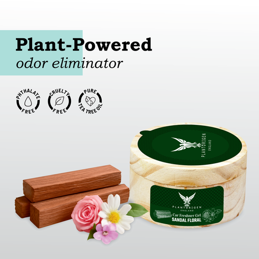 PlantOrigen Plant Based Non Electric Non Toxic Aromatherapy Essential Oils Car Air Gel Fresheners Sandal Floral