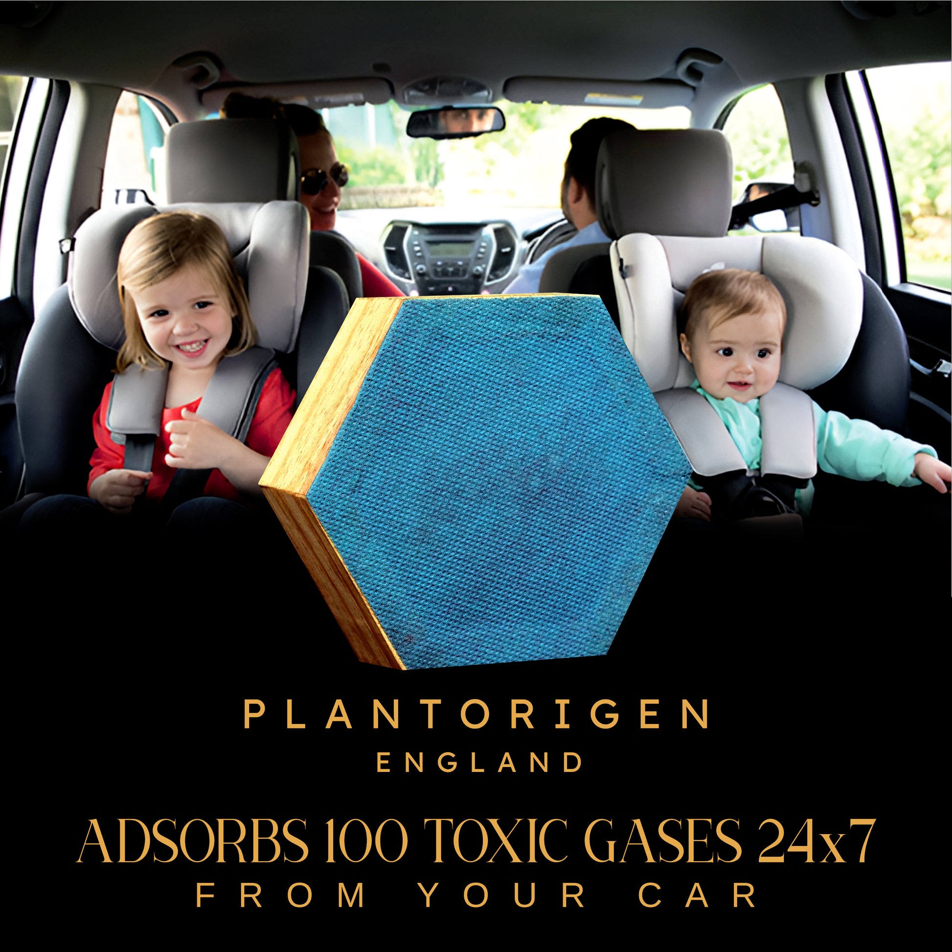 Plant Origen Plant Based Non Electric Non Toxic Aerospace Grade Hybrid SYS Car Air Purifiers 