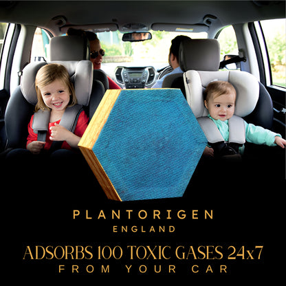 Plant Origen Plant Based Non Electric Non Toxic Aerospace Grade Hybrid SYS Car Air Purifiers 