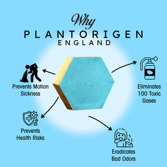 Plant Origen Plant Based Non Electric Non Toxic Aerospace Grade Hybrid SYS Car Air Purifiers 