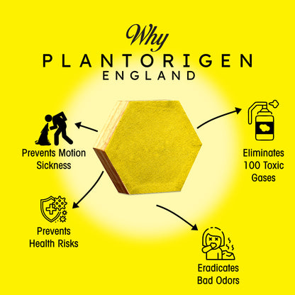 Plant Origen Plant Based Non Electric Non Toxic Aerospace Grade Hybrid SYS Car Air Purifiers 