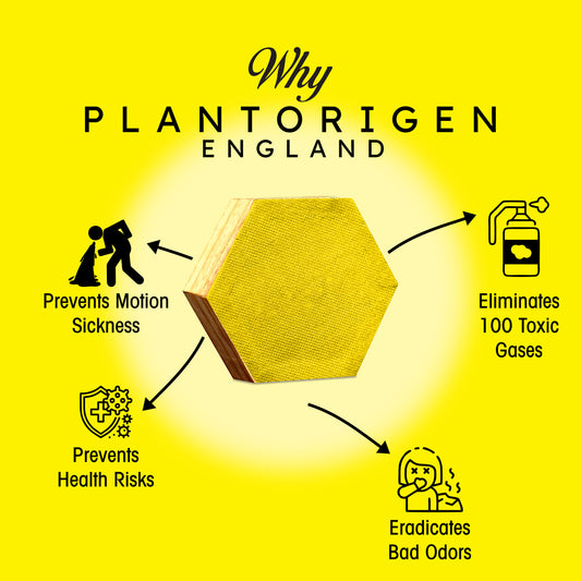 Plant Origen Plant Based Non Electric Non Toxic Aerospace Grade Hybrid SYS Car Air Purifiers 