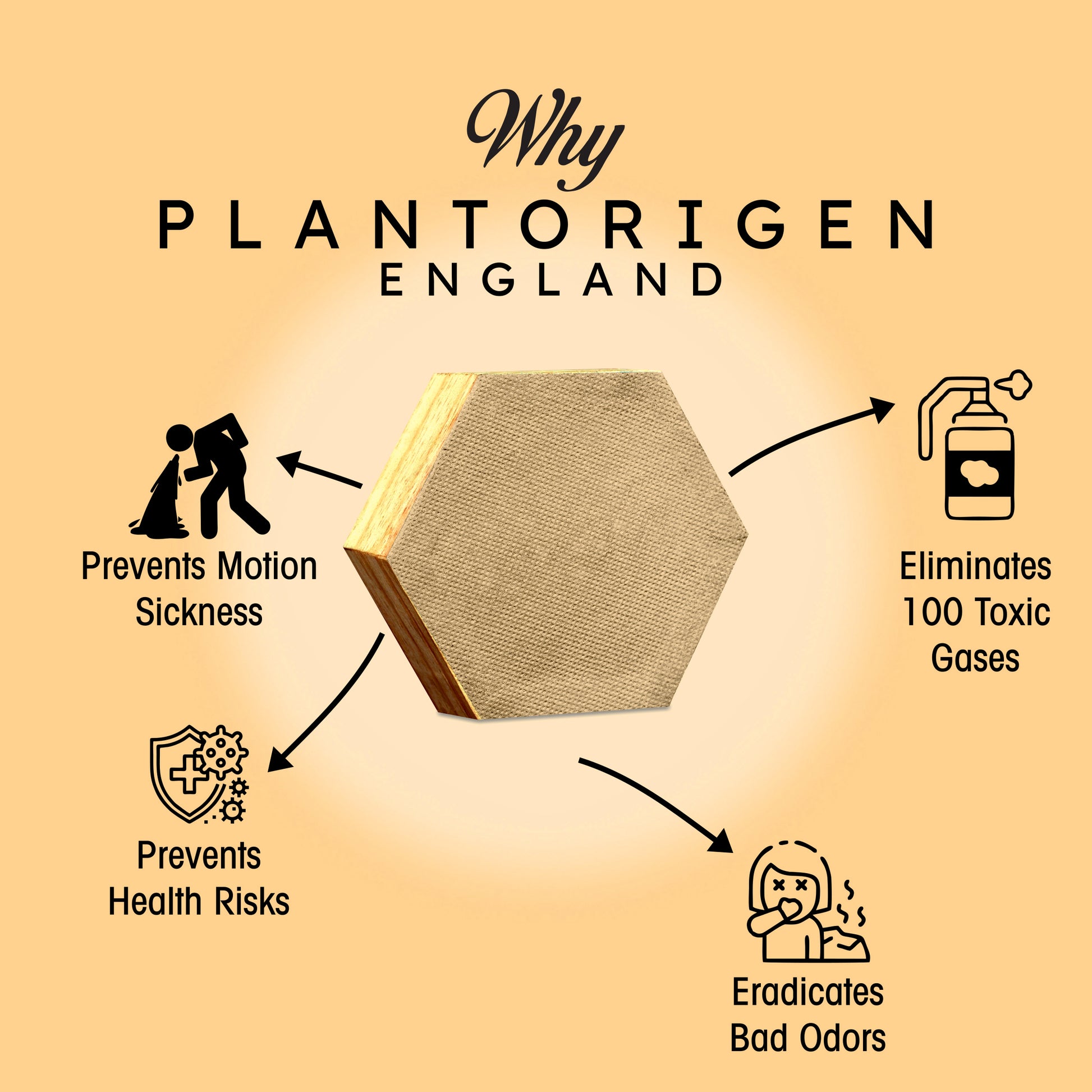 Plant Origen Plant Based Non Electric Non Toxic Aerospace Grade Hybrid SYS Car Air Purifiers 