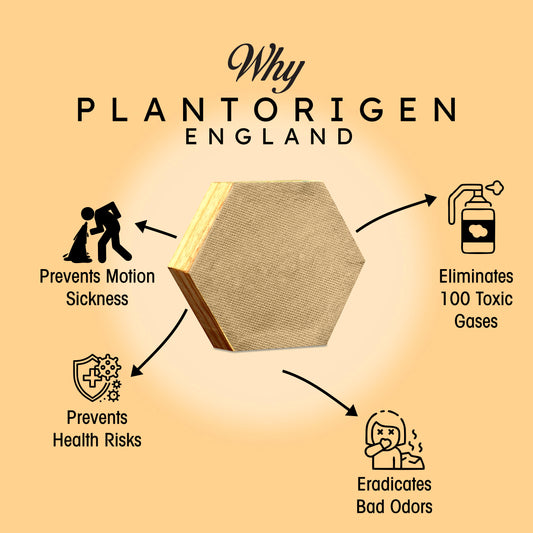 Plant Origen Plant Based Non Electric Non Toxic Aerospace Grade Hybrid SYS Car Air Purifiers 