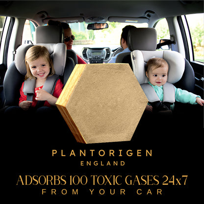 Plant Origen Plant Based Non Electric Non Toxic Aerospace Grade Hybrid SYS Car Air Purifiers 