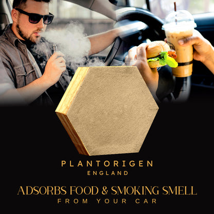 Plant Origen Plant Based Non Electric Non Toxic Aerospace Grade Hybrid SYS Car Air Purifiers 