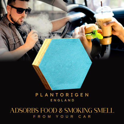 Plant Origen Plant Based Non Electric Non Toxic Aerospace Grade Hybrid SYS Car Air Purifiers 