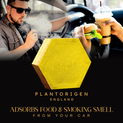 Plant Origen Plant Based Non Electric Non Toxic Aerospace Grade Hybrid SYS Car Air Purifiers 