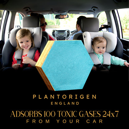Plant Origen Plant Based Non Electric Non Toxic Aerospace Grade Hybrid SYS Car Air Purifiers 