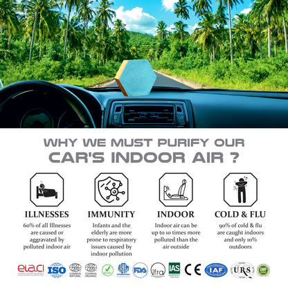 Plant Origen Plant Based Non Electric Non Toxic Aerospace Grade Hybrid SYS Car Air Purifiers 