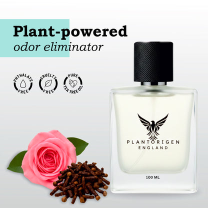 Plant Based Car Freshener Hanging Dome With Natural Spray | Aromatherapy Grade | Patented Formula | Citrus Blast