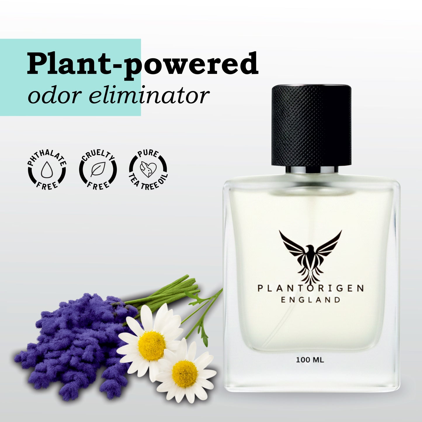 Plant Based Car Freshener Hanging Dome With Natural Spray | Aromatherapy Grade | Patented Formula | Lively Lavender