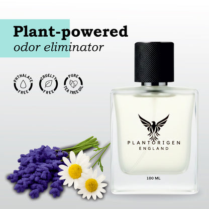 Plant Based Car Freshener Hanging Dome With Natural Spray | Aromatherapy Grade | Patented Formula | Lively Lavender